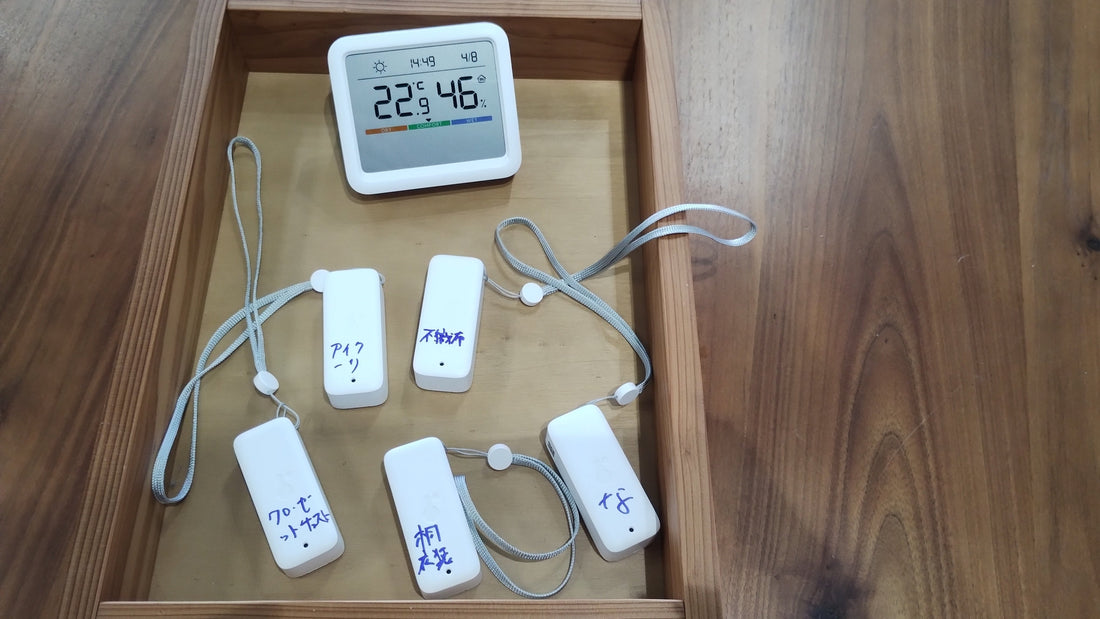 Can a Paulownia Chest Really Protect Your Clothes from Humidity? We Put It to the Test