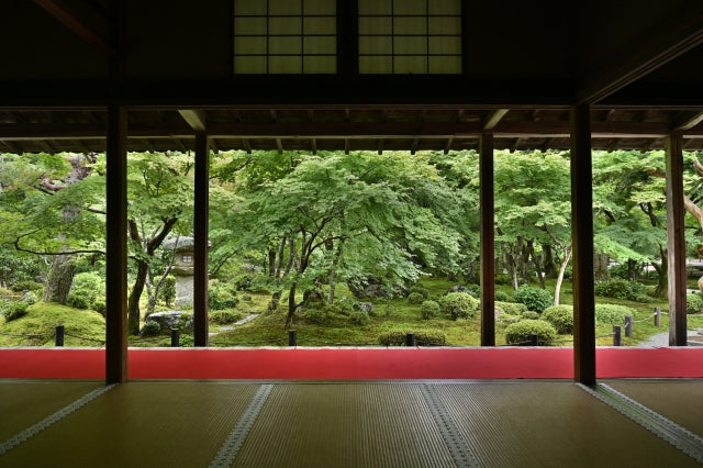 What is Tatami.The Profoundness and Charm of Tatami Mats