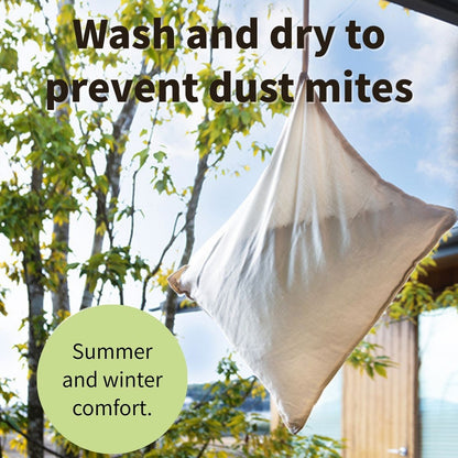 Washable Buckwheat Pillow