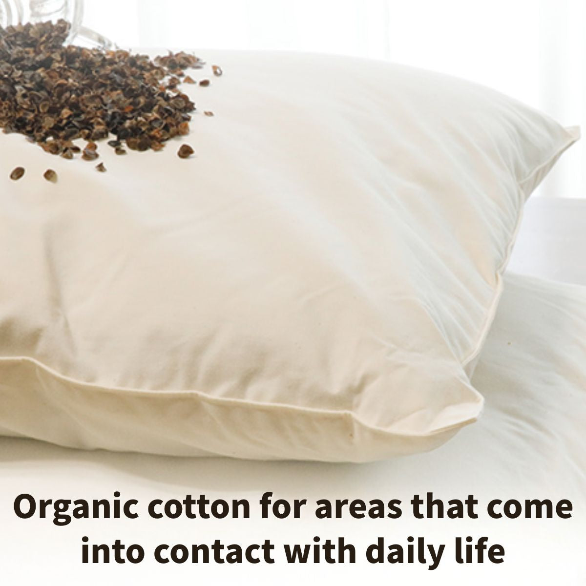 Washable Buckwheat Pillow