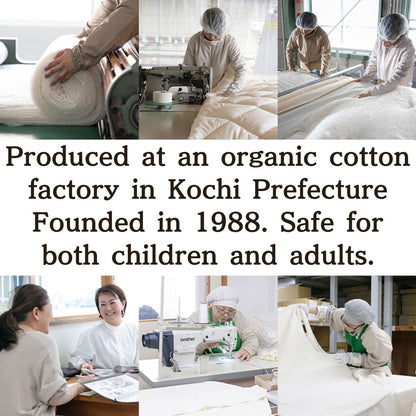 Washable Buckwheat Pillow