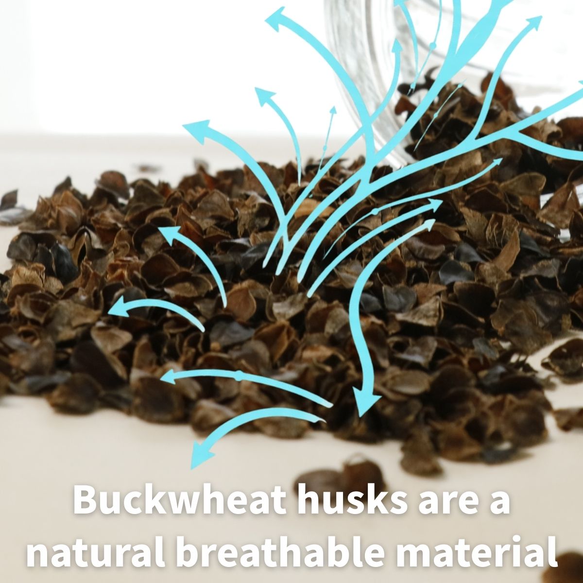 Washable Buckwheat Pillow